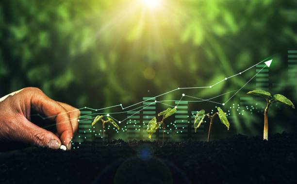 entrepreneursuccess.africa